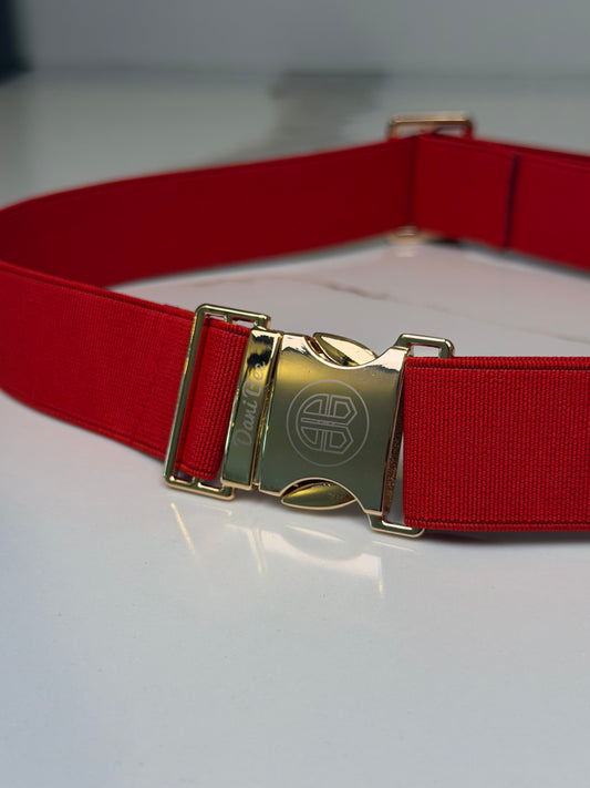 Elastic Sports Belt - Red/Gold